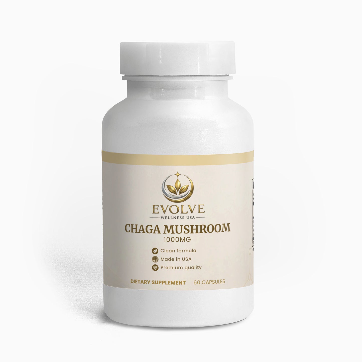 Chaga Mushroom